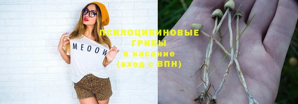 амф Каменногорск