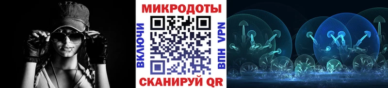 Галлюциногенные грибы Cubensis  Кохма 