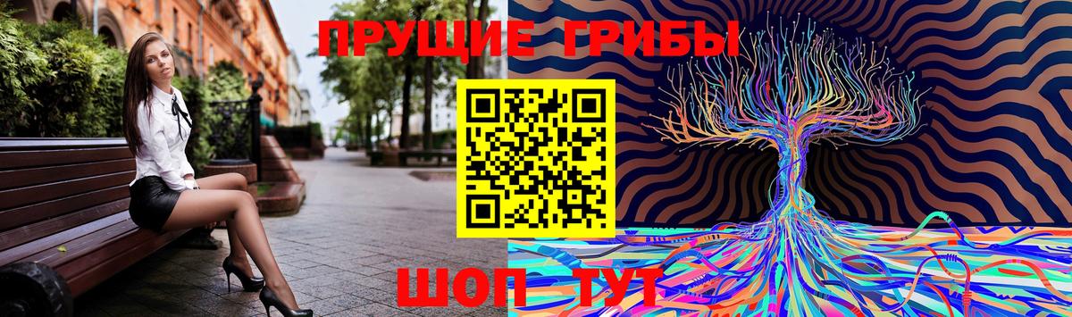 Галлюциногенные грибы ЛСД Кохма
