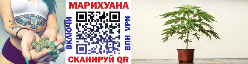 Марихуана MAZAR цены наркотик Кохма